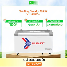 Mua TỦ ĐÔNG TRƯNG BÀY KEM SANAKY 500 LÍT VH-888KA NHÔM (R290A) (HÀNG CHÍNH HÃNG) (CHỈ GIAO HCM)