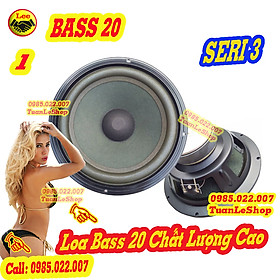 Mua 01 LOA BASS 20 MẪU 301 SERI 3 – GIÁ 01 BASS 2 TẤC  SERI III
