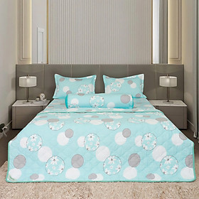 Bộ chăn drap gối Hometex cotton hoa thoáng mát, hoa văn phong phú - C