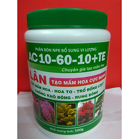 Phân bón NPK bổ sung vi lượng AC 10-60-10 +TE tạo mầm hoa cực mạnh - chai 500 gram