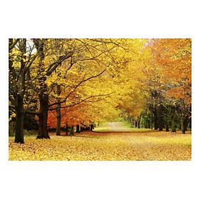 Tranh Dán Tường Phong Cảnh 3D /LN023 - 150 x 100 cm