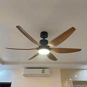 Mua Quạt trần đèn CeilingFanking QT-001 hàng chính hãng