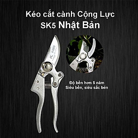 Mua Kéo Cắt Cành Cộng Lực Nhật Bản SK5