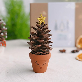 Mua CÂY THÔNG MINI  CÂY THÔNG NOEL TRANG TRÍ TỪ TRÁI THÔNG KHÔ TỰ NHIÊN | DIY PINE CONE CHRISTMAS TREE