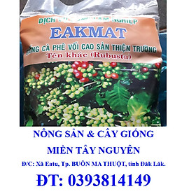 1 KG HẠT GIỐNG CÀ PHÊ THIỆN TRƯỜNG CAO SẢN [ HẠT TUYỂN CHỌN TỪ CÂY MẸ ] 100% HẠT MỚI- TỶ LỆ NẢY MẦM CAO. [J&T Express] [ 2023 ]