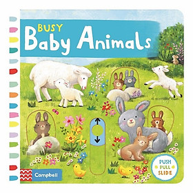 Cambell Fush Full Slide Series: Busy Baby Animals
