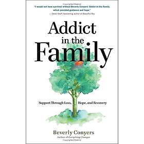 Sách ngoại văn: Addict In The Family - Support Through Loss, Hope, And Recovery