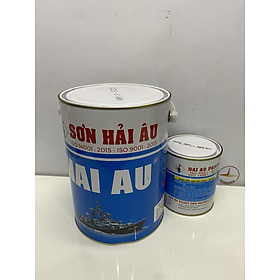 Mua Sơn Epoxy Hải Âu nhiều màu 5L/Bộ