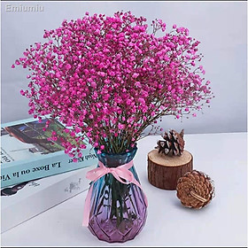 Hình ảnh sách ✓Forget-me-not khô bó hoa trang trí nội thất phòng khách nhà