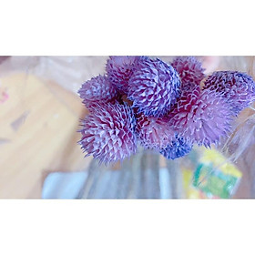 Mua Hoa Thiên Nhật vàng rực rỡ ️️ Hoa khô trang trí phòng ngủ  làm đồ handmade
