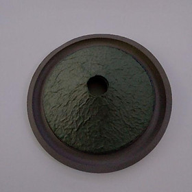 Màng loa bass 20 bose xanh.