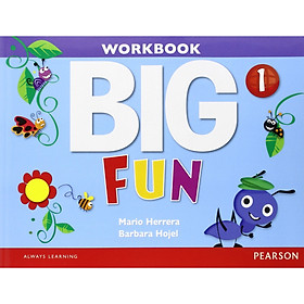 Big Fun 1 Workbook with Audio CD