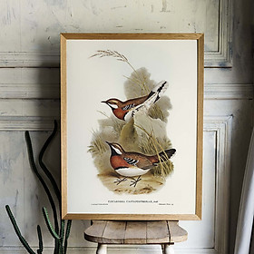 Mua Tranh Canvas treo tường chim sẻ - B013