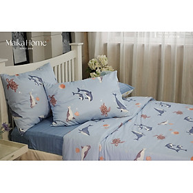  Bộ Drap 5 món Cotton Satin HQ Cá Heo