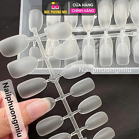 Hộp 240 Móng Up Ngắn Tròn Hạt Na, Vuông Ngắn Làm Nail, Bầu Dẻo Ôm Form Cao Cấp, Nhẹ Bền Đẹp, Móng Úp Dễ Gắn, Làm Móng Đẹp Tự Nhiên