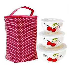 BỘ 3 hộp đựng cơm văn phòng dùng lò vi sóng và túi giữ nhiệt
