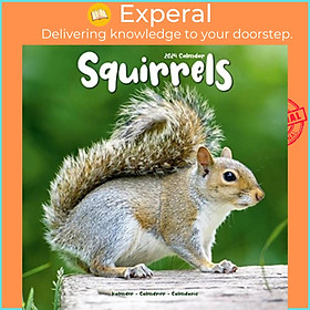 Hình ảnh Sách - Squirrels Calendar 2024  Square Animal Wall Calendar - 16 Month by  (UK edition, paperback)