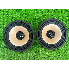 Mua CỦ LOA BASS RỜI 20 COIL 38 TỪ 100 GÂN VẢI HÀNG CHÍNH HÃNG HẢI TRIỀU ( GIÁ 1 CÁI)