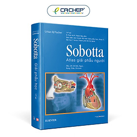 Sobotta Atlas Giải Phẫu Người