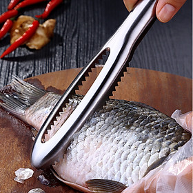 Mua Dụng Cụ Đánh Vẩy Cá Inox Đa Năng IN10