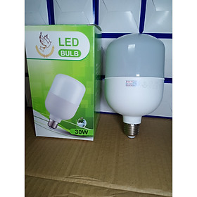 Bóng đèn led 30w loại trơn sáng trắng tản nhiệt nhôm