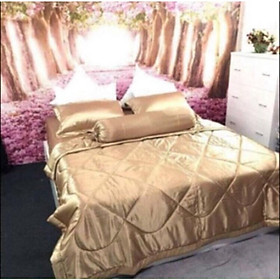Drap PHI LỤA Thái Tuấn GIÁ XƯỞNG 5p-30p size 1M-1M8 ÔM DÂY KHOÁ