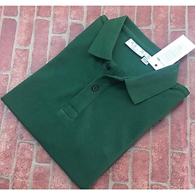 Áo Thun cotton Nữ Có Cổ -Màu ve chai (45-75kg)