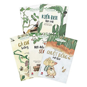 Sách Bộ Từ Những Hạt Mầm