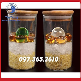 Bình Tụ Tài Lộc 12.5cm