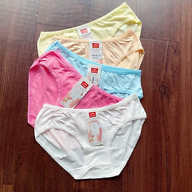 Quần Lót 2109 Cotton Đơn Giản Bán Theo Combo Màu Ngẫu Nhiên Giá Rẻ