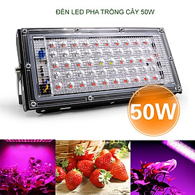 Đèn led pha chuyên cho trồng cây trong nhà loại 50W-220V50Hz