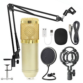 Bộ Micro Thu Âm Chuyên Nghiệp BM800