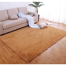 Mua Thảm Lông Trải Sàn 1m2 x 1m6  1m6 x 2m  1m6 x 2m3 Sang Trọng cho Phòng Khách  Ngủ  Chụp Hình ..v...v