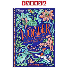 Sách ngoại văn: Wonder - The Natural History Museum - Macmillan Publishers