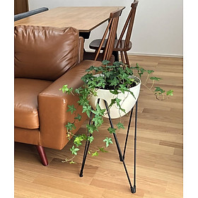 Chậu skypot 60x180cm chuyên dùng trồng cây
