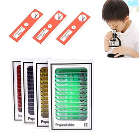 Mua Bộ 12 Tiểu Bản Mẫu Vật Của Động Thực Vật Dùng Trên Kính Hiển Vi - Hàng Nhập Khẩu