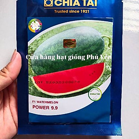 20 Gram hạt giống dưa hấu Chia Tai Power 99 siêu ngọt