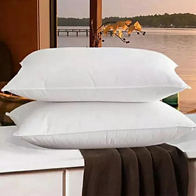 Mua Combo 2 ruột gối Invista Aqua cao cấp size 45x65cm. chất liệu bông gòn an toàn với sức khỏe.