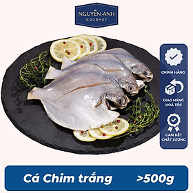 Cá chim trắng Nguyên Anh đặc sản Phú Quốc <500g [Chỉ giao HCM]