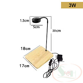 Đèn led đế gỗ Bambo 3, 5, 7, 9W trồng cây thủy sinh, tiểu cảnh terrarium bán cạn mini