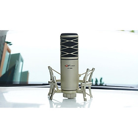 Mua Micro thu âm AQTA AT-808 - Thiết kế sang trọng  cao cấp - Chống hú  chống nhiễu  lọc âm cực tốt - Micro thu âm cao cấp