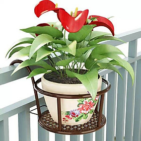 Mua Giá Treo Chậu Châu Hoa Cây Cảnh ban công