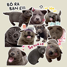 Sticker Bé Dúi Set 30 ảnh Nguyễn Văn Dúi