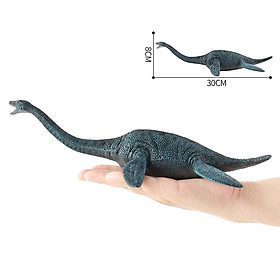 Hình ảnh Mô Hình Khủng Long Plesiosaurus Chất Lượng Cao