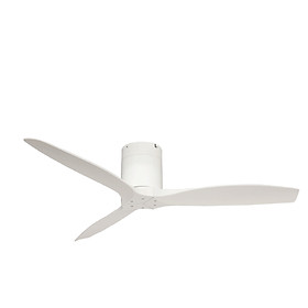 Quạt trần Luxaire Ritter Hugger