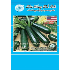 2g Hạt Giống Bí Ngòi Xanh - Dark (Cucurbirta pepo)