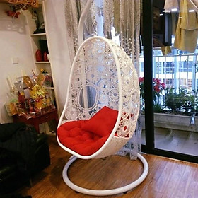 Mua Xích đu quả trứng