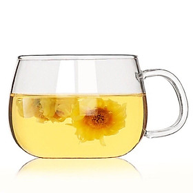 Bình đựng nước thủy tinh cao cấp 2L tam giác, Bình thủy tinh chịu nhiệt
