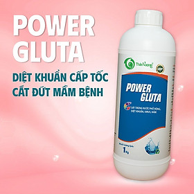 Sát trùng nước ao tôm phổ rộng POWER GLUTA