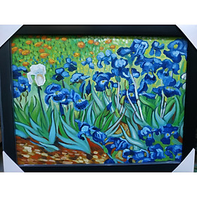 Mua Hoa Diên Vĩ - Tranh Sơn Dầu Vẽ Tay 30x40cm